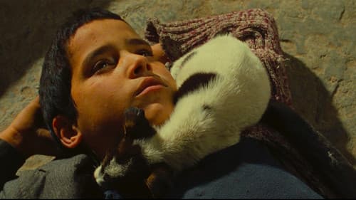 Ali Zaoua, Prinz der Straße Bild 7