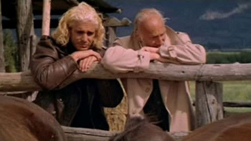 Caballos salvajes Bild 3