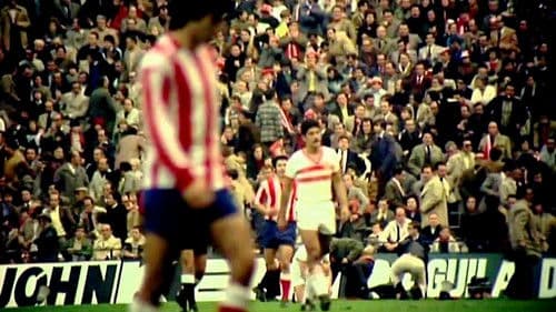 ¡Al fútbol! Bild 1