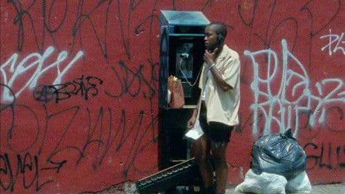 The Watermelon Woman Bild 1