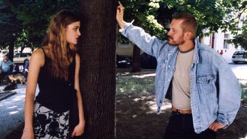 Vražda kočky domácí Bild 5