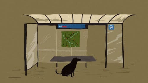 Призори из живота џукца Bild 7