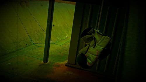 Trapped In Sight Bild 1