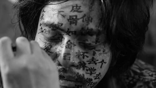 伤寒杂病论 Bild 1