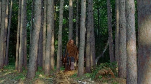 Vikings: Journey to New Worlds Bild 1