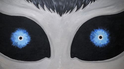 Love & Saucers Bild 1