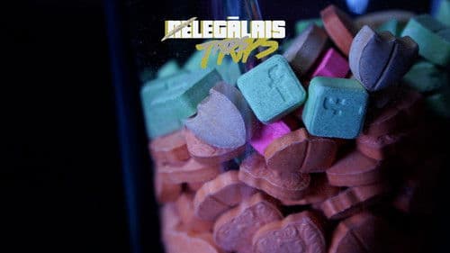 Nelegālais trips Bild 2