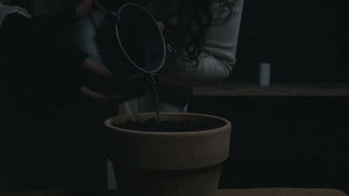 BLOOM - A Dystopian Short Film Bild 4