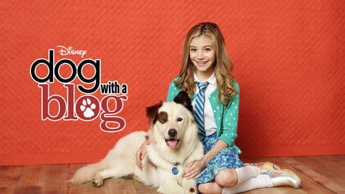 Hund mit Blog Bild 6