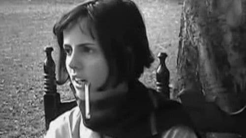 Curta-metragem Metalinguístico de Baixo Orçamento Bild 1