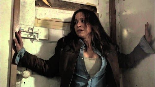 Scarecrow - Das Grauen stirbt nie Bild 1