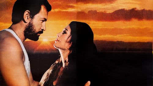 Bir Sevgi İstiyorum Bild 1