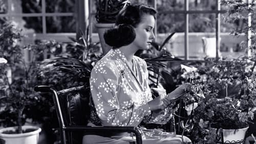 Geh leise, Fremder Bild 7