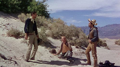 Spuren im Sand Bild 8