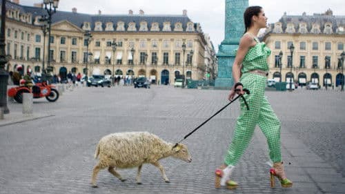 Well, Who The Fuck Are You..? Bild 1