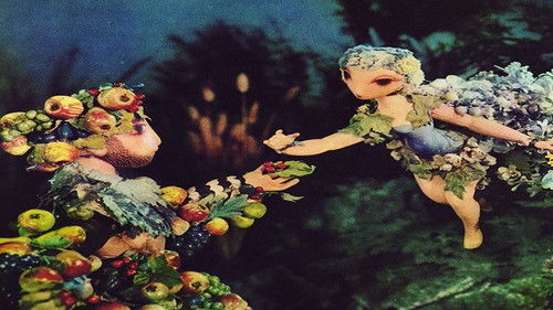 Sen noci svatojánské Bild 3