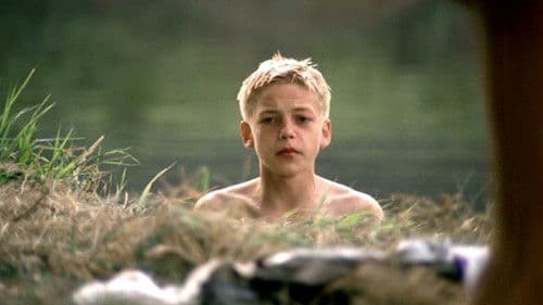 De Witte van Sichem Bild 1