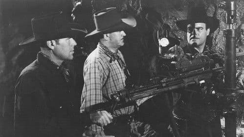 Under Fiesta Stars Bild 1