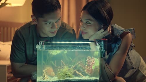 Isa Pa, With Feelings Bild 2