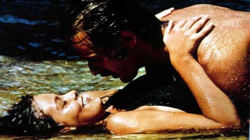 Das Taubenhaus Bild 2