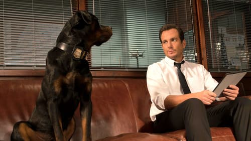 Show Dogs - Agenten auf vier Pfoten Bild 8