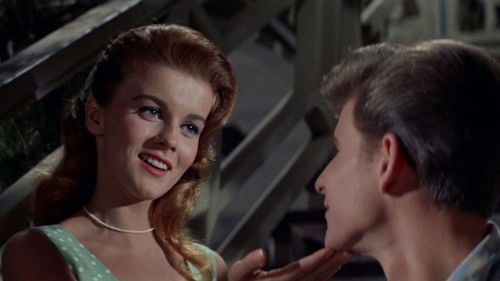 Bye Bye Birdie Bild 4