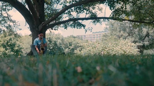 How It Breathes Bild 3