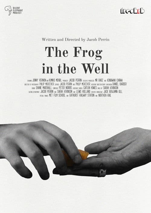 The Frog in The Well