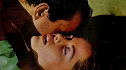 L'Amérique insolite Bild 1