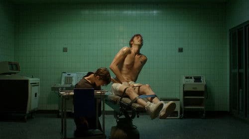 We Are Animals Bild 3