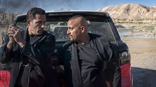 العنكبوت Bild 3