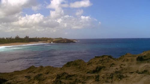 Psychic Migrations Bild 7