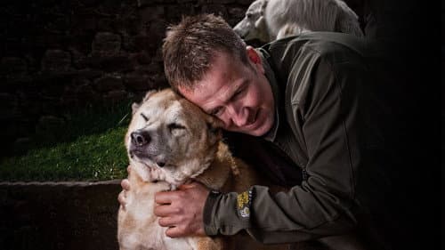 Animal Airlift: Escaping the Taliban Bild 1