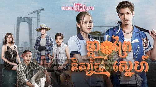 ดอกหญ้าป่าคอนกรีต Bild 2