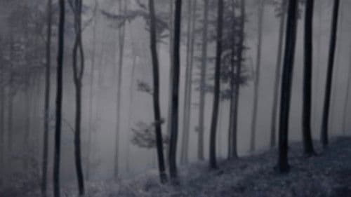 The Legend of King Arthur Bild 1