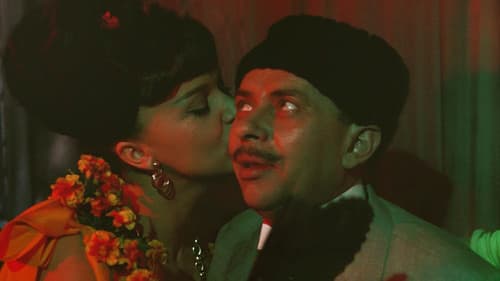 Put oko sveta Bild 3