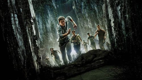 Maze Runner - Die Auserwählten im Labyrinth Bild 2