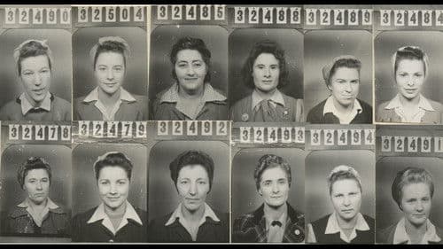 Rosies of the North Bild 5