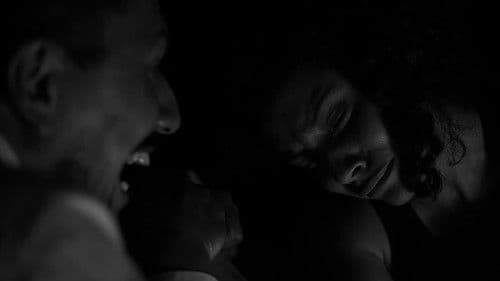 Elogio a las Armas Bild 1