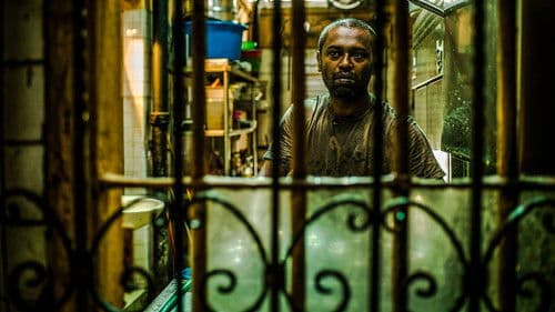 A Yellow Bird Bild 1