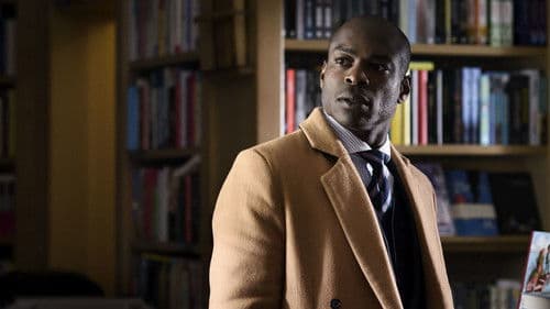 De Terugkeer van de Wespendief Bild 1