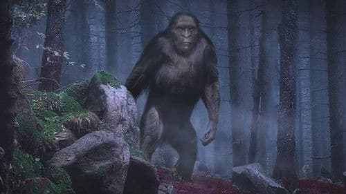 On the Trail of Bigfoot: The Discovery Bild 1