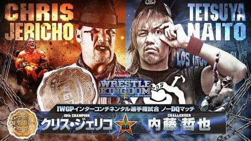 NJPW Wrestle Kingdom 13 Bild 7
