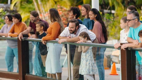 Love and Penguins Bild 3