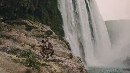 Honey to the Moon Bild 1