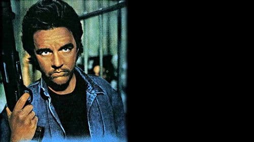 Run Tiger Run Bild 1