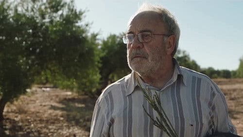 Camino de la suerte Bild 2