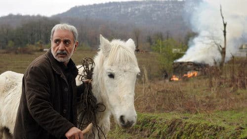 من و زیبا Bild 1