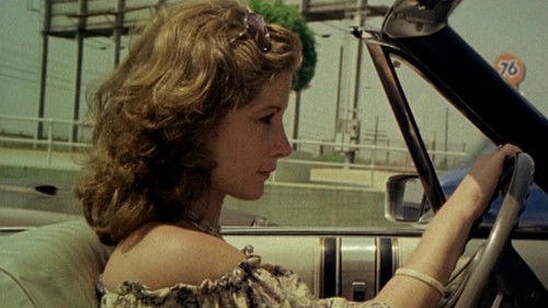 Do You Remember Laurie Zimmer? Bild 1