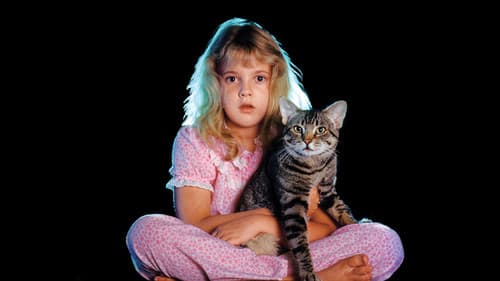 Stephen King's Katzenauge Bild 3